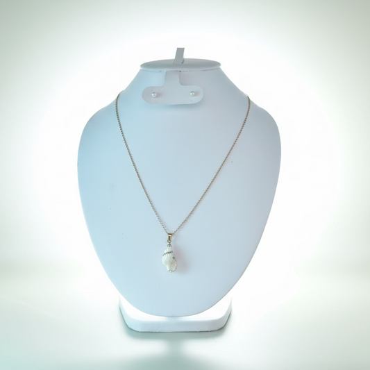 Collar de concha
