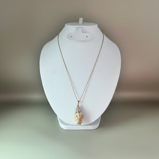 Collar con concha